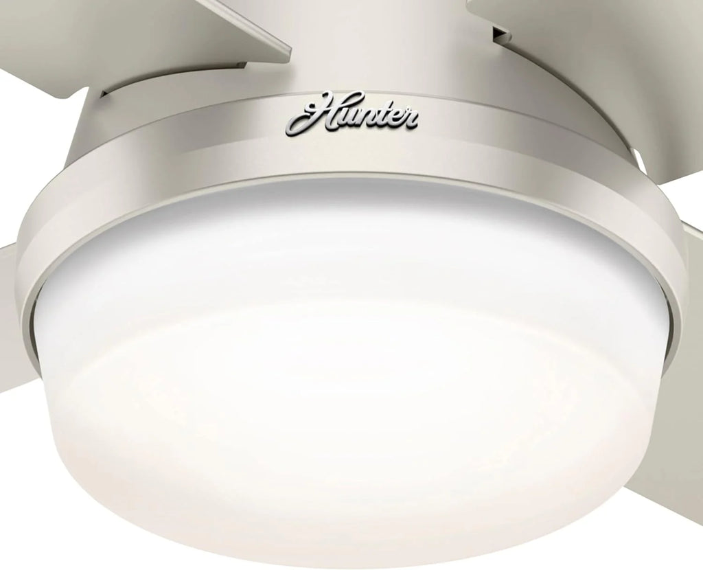 Hunter Fan Company Dempsey Low Profile Indoor / Outdoor Ceiling Fan with LED Light and Remote Control, 44, Matte Nickel